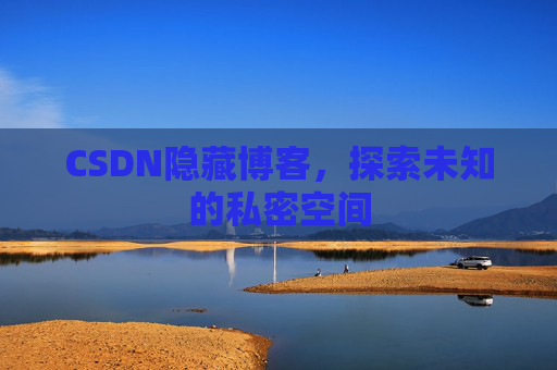 CSDN隐藏博客，探索未知的私密空间